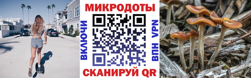 Купить закладки  Ханты-Мансийск  Псилоцибиновые грибы Magic Shrooms 